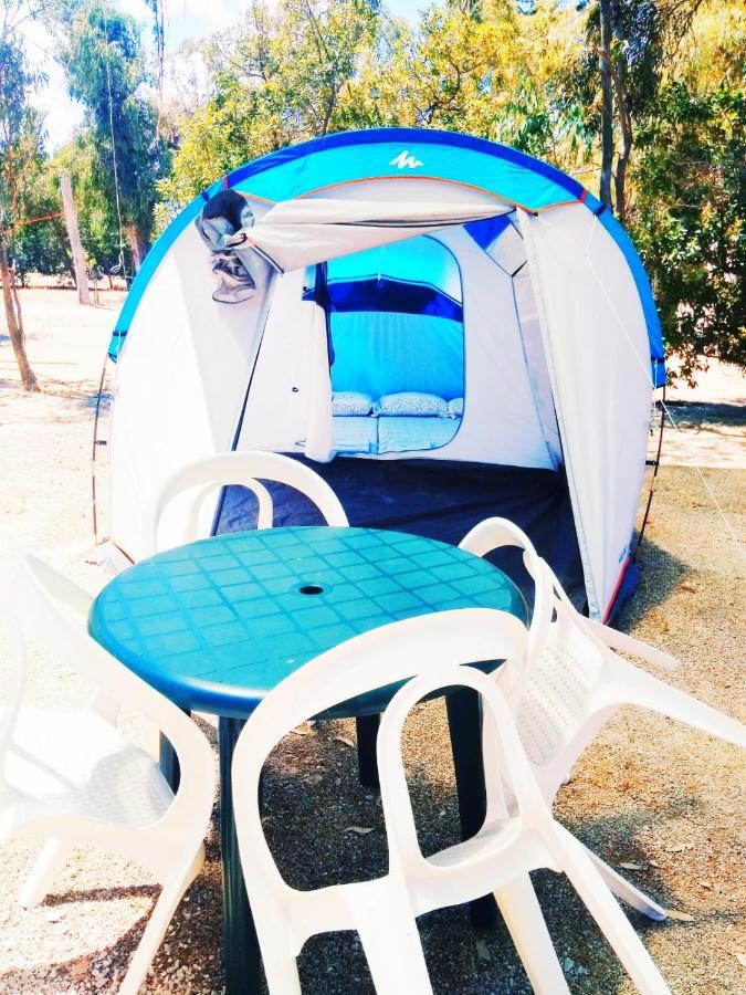 Hotel Camping La Naranja à Gandie Extérieur photo